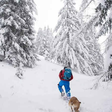 Apartmán Bergblick-pettneu *