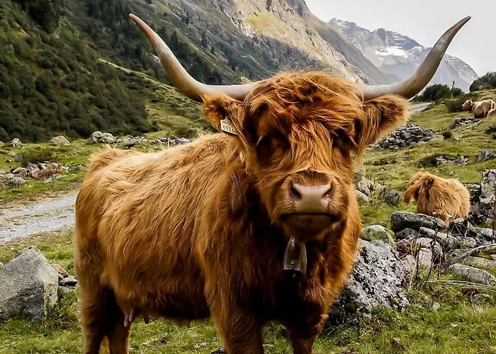 Lejlighed Bergblick-pettneu *
