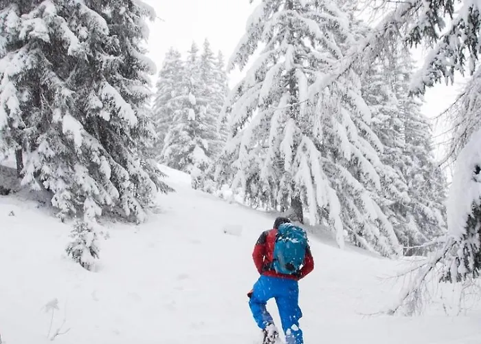 公寓 Bergblick-pettneu *