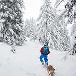 Apartman Bergblick-pettneu *